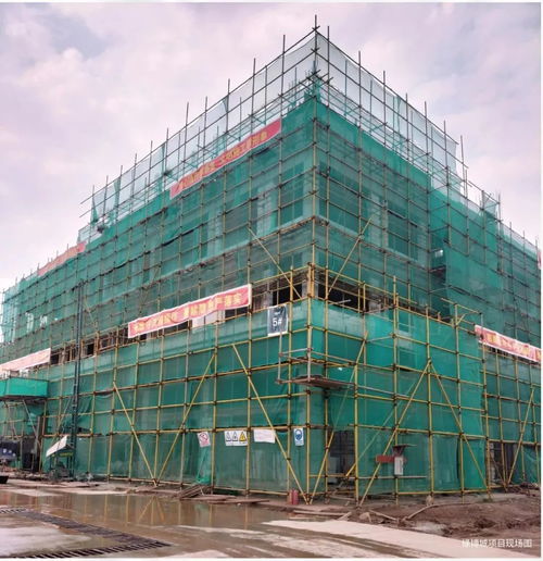 預(yù)計達產(chǎn)后年產(chǎn)值達30億元 提供約5000個就業(yè)崗位 肇慶這個項目有新進展