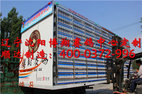 遼寧沈陽博翔賽鴿中心定制 訓放籠 賽鴿集裝箱 歐式放飛籠產(chǎn)品展示