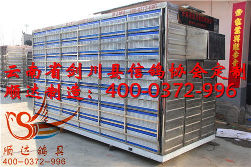 云南省劍川縣信鴿協(xié)會(huì)定制 放飛籠 訓(xùn)放籠 賽鴿集裝箱產(chǎn)品展示