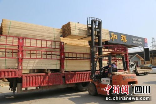 成都青白江國際木材交易中心國外采購力度大 每月200多個(gè)集裝箱