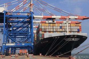 剛剛,廈門曬出上半年經(jīng)濟(jì) 成績(jī)單 這些數(shù)據(jù)亮了